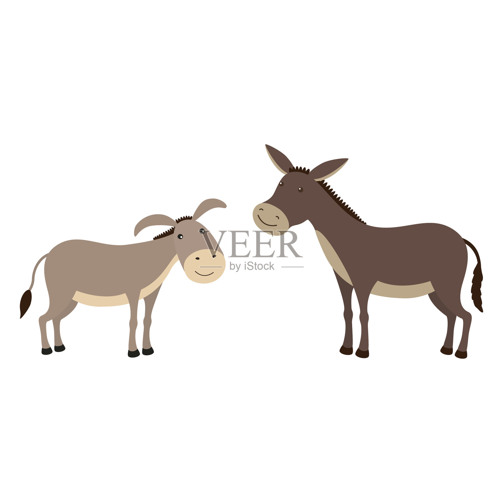 驴子和骡子的区别插画图片素材