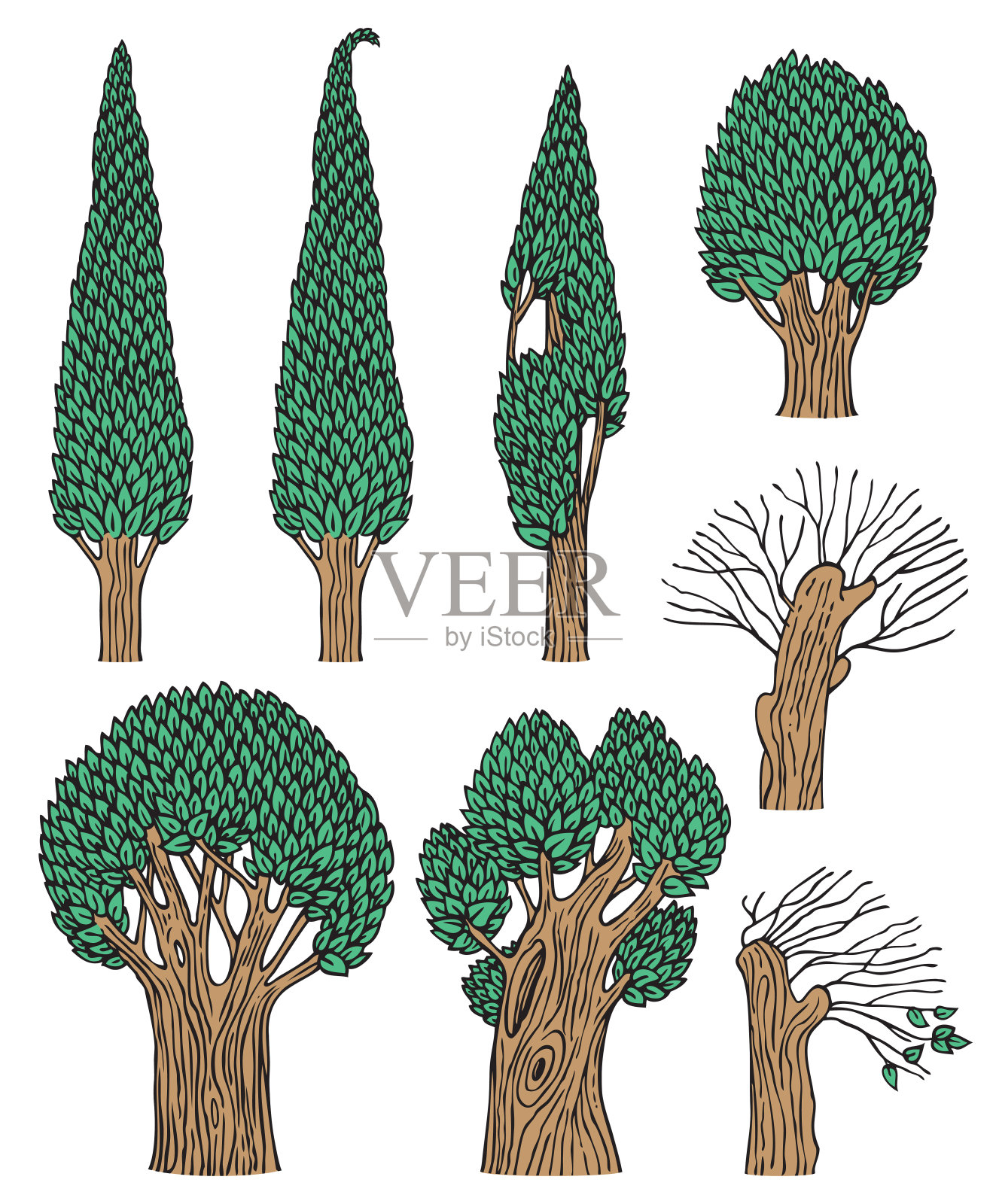 在白色背景上的一组老落叶树设计元素图片