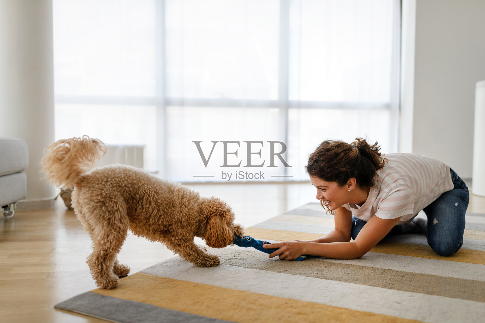 美丽快乐的女人玩一个可爱的狗在家里照片摄影图片