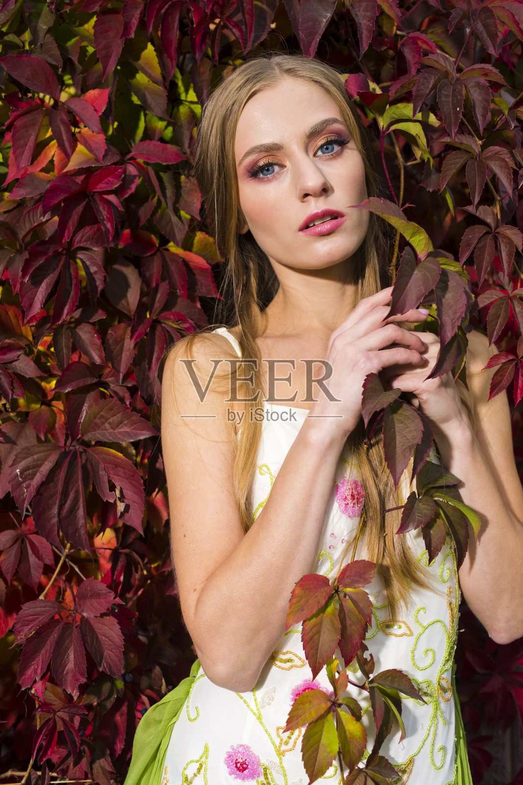 性感的白种人金发女人摆姿势在轻连衣裙与常春藤户外。垂直组成照片摄影图片