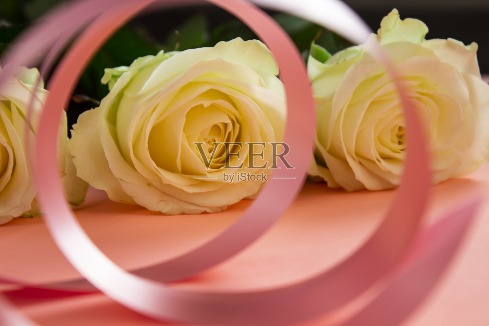 婚礼花束白色的花在一个粉红色的背景。大自然中的婚礼鲜花。白玫瑰配粉红丝带。婚礼的背景。美丽的婚礼花束。为婚礼做准备。白色婚礼花。婚礼的背景。照片摄影图片