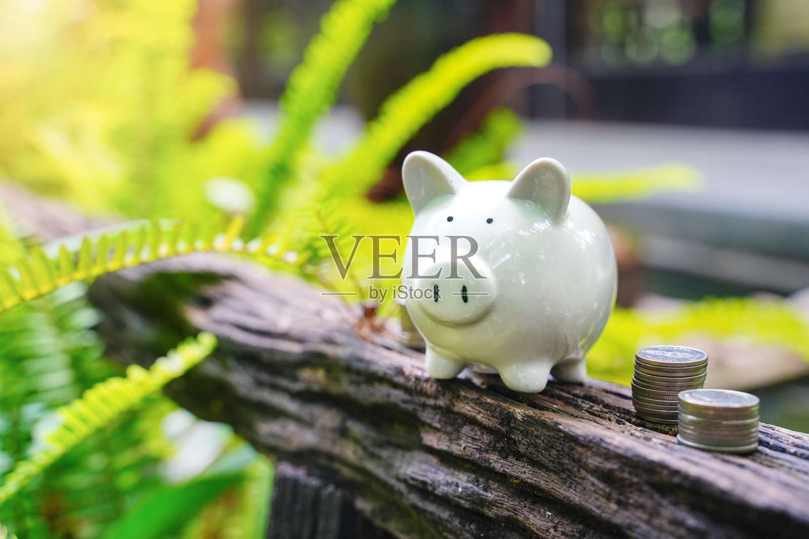 一堆硬币和存钱罐拍照户外自然背景。照片摄影图片