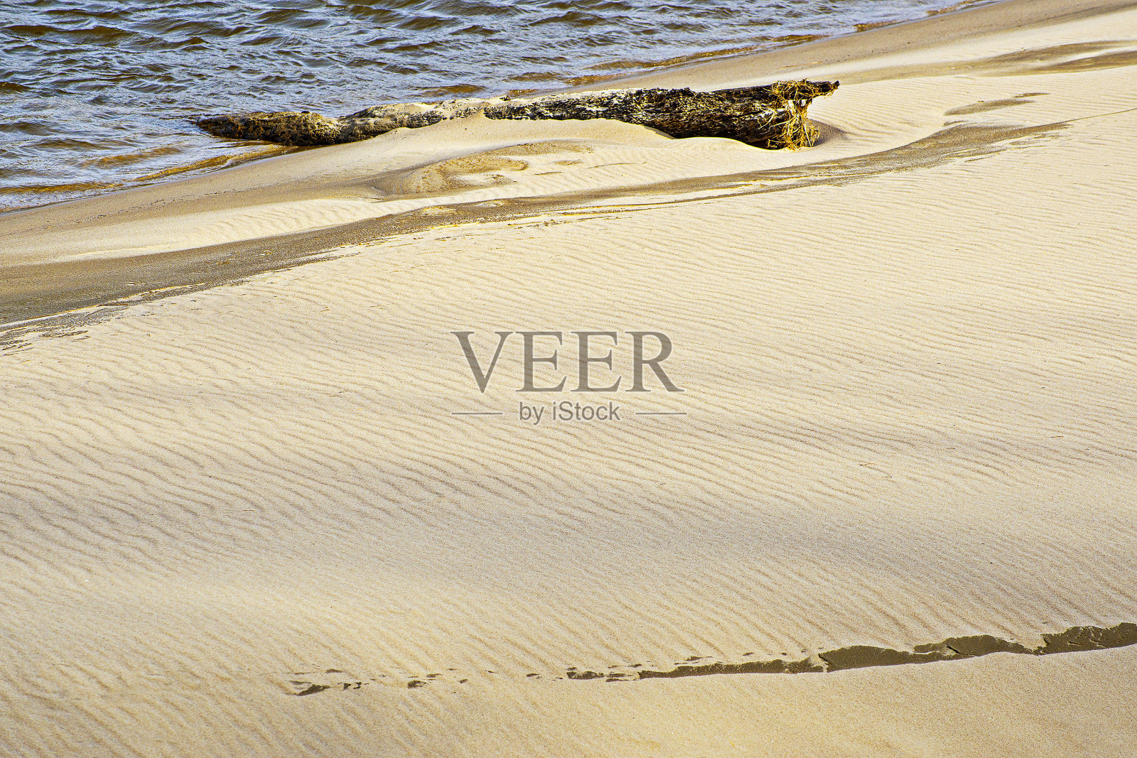 河岸上的黄沙照片摄影图片