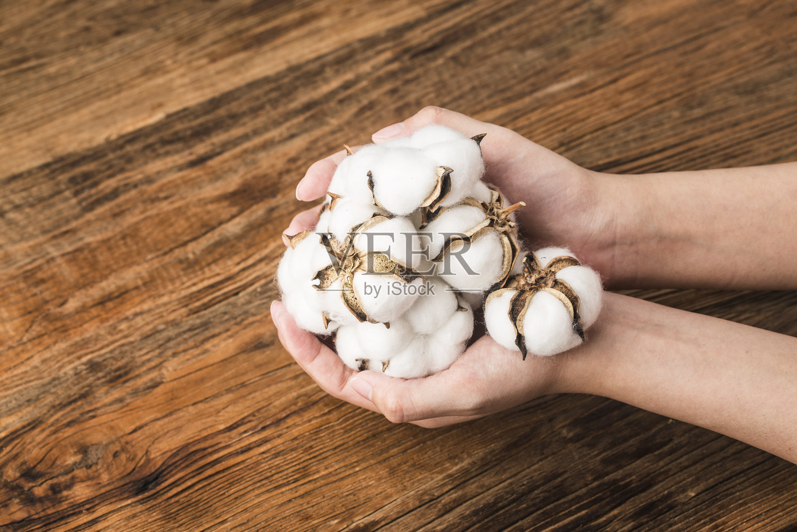 木制背景上的棉花照片摄影图片