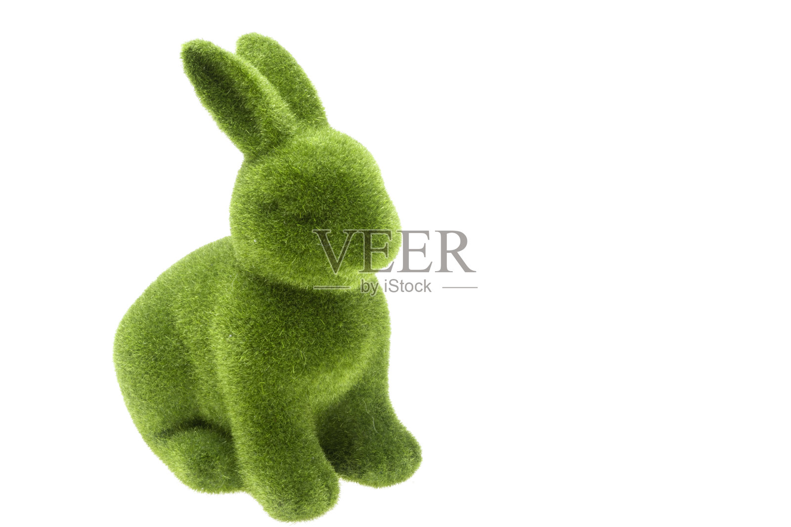 复活节绿兔隔离照片摄影图片