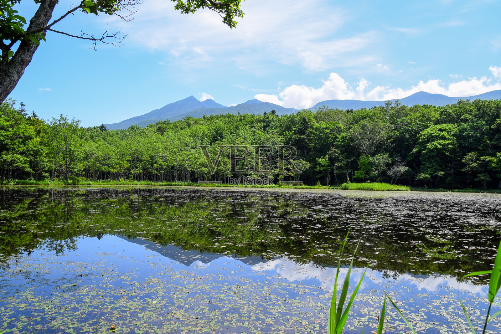 自然和风景照片摄影图片