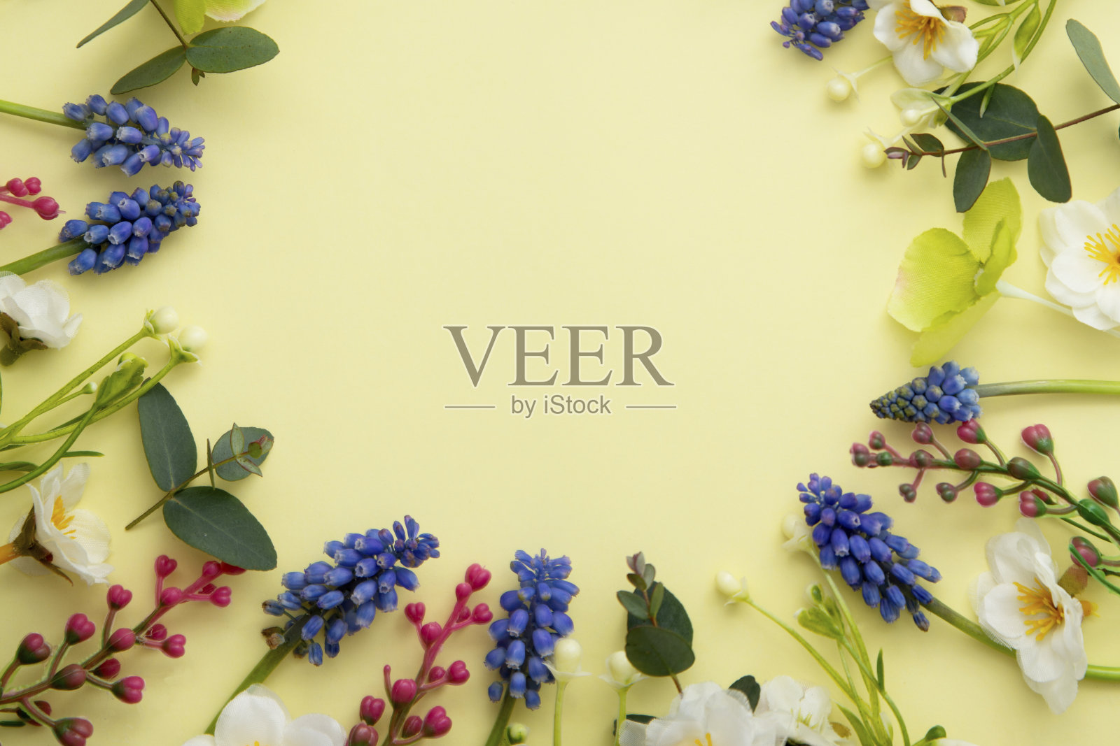 春花圆作文。框架由麝香草和野花在柔和的黄色背景。母亲节快乐。平铺,拷贝空间照片摄影图片