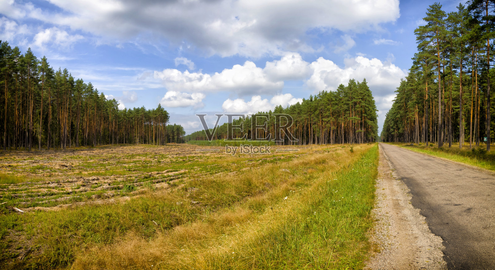 波兰度假——马苏里亚的皮斯卡森林,一个拥有上千个湖泊的地方照片摄影图片