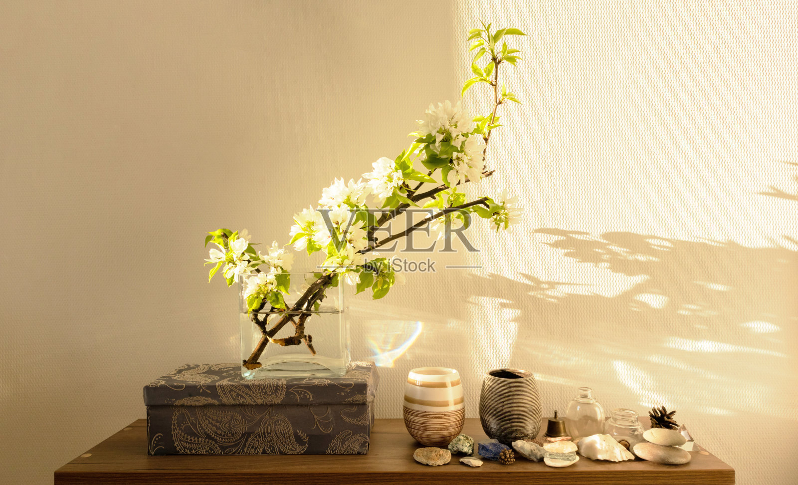 白色客厅极简室内架子模型照片摄影图片