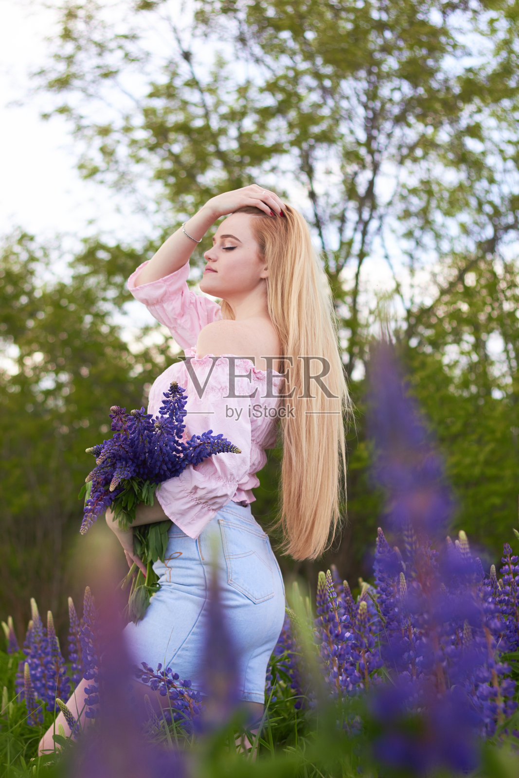 一个年轻迷人的金发女郎,带着一束羽扇豆,在紫色的田野中。自然和浪漫的概念。照片摄影图片