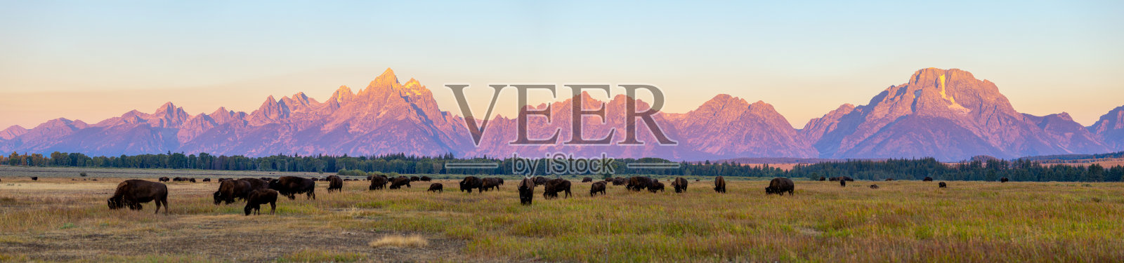 怀俄明州的大提顿国家公园照片摄影图片