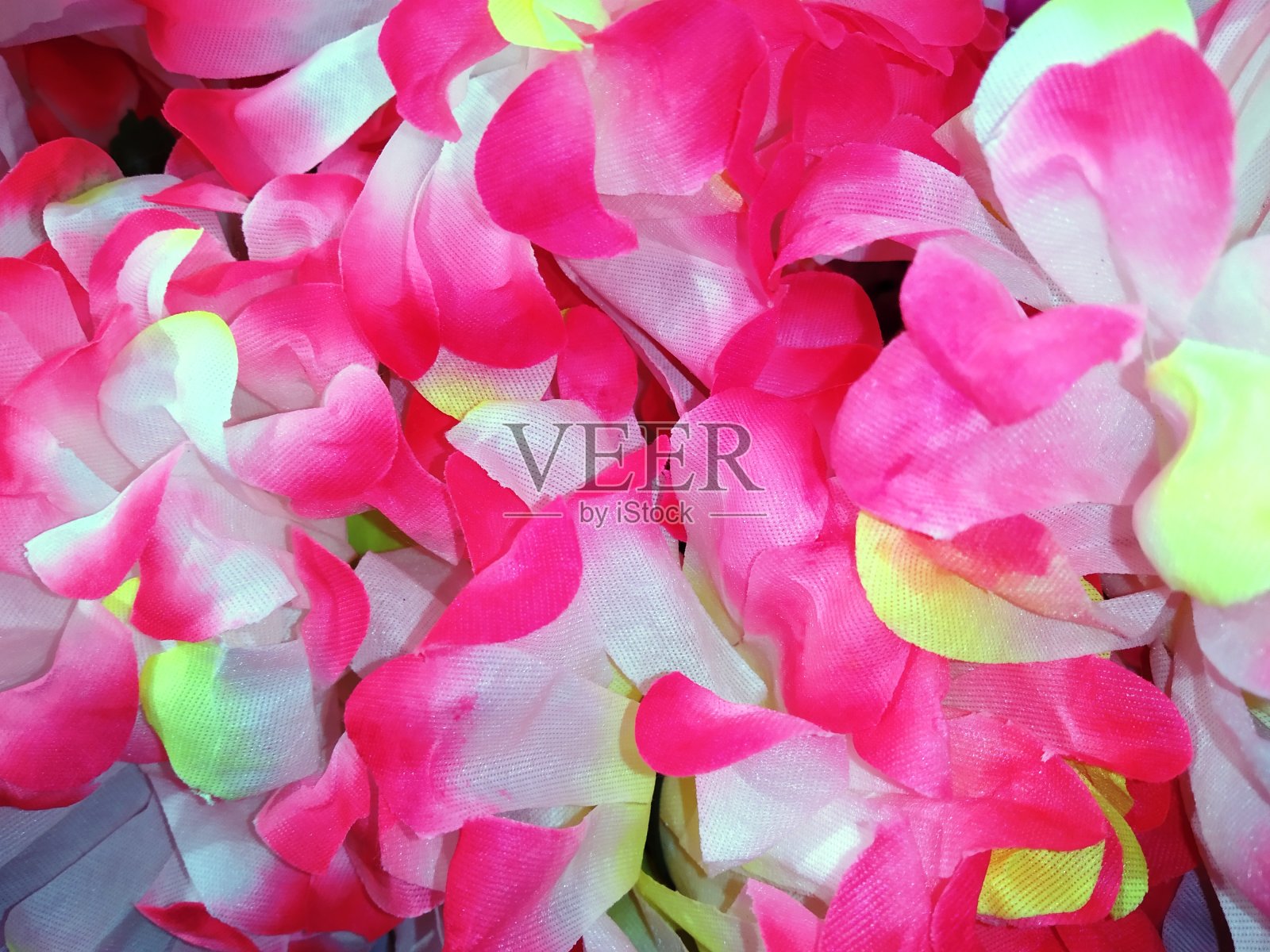 明亮的花朵照片摄影图片