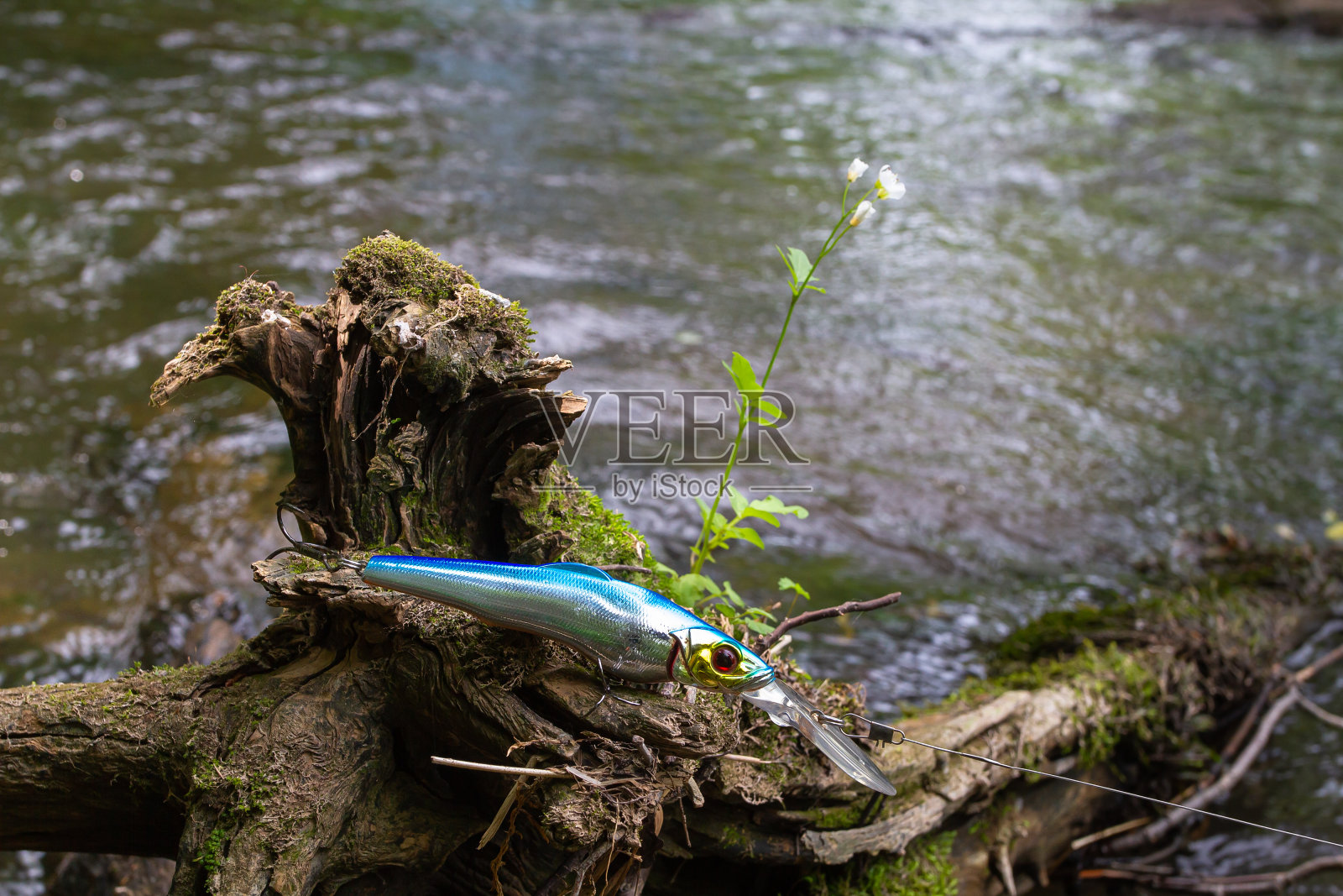 鱼饵钩在一棵下陷的树上照片摄影图片