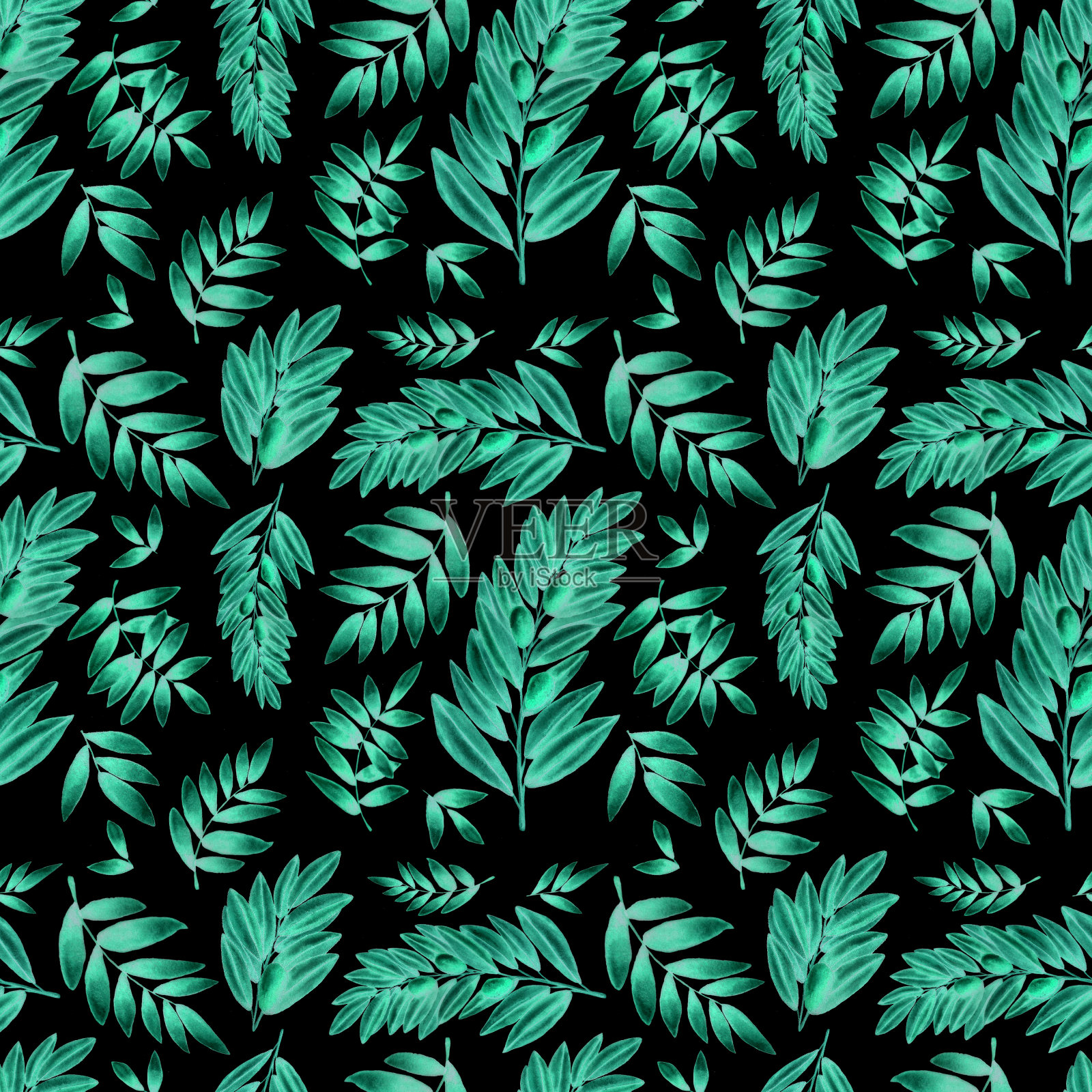 水彩橄榄叶图案插画图片素材