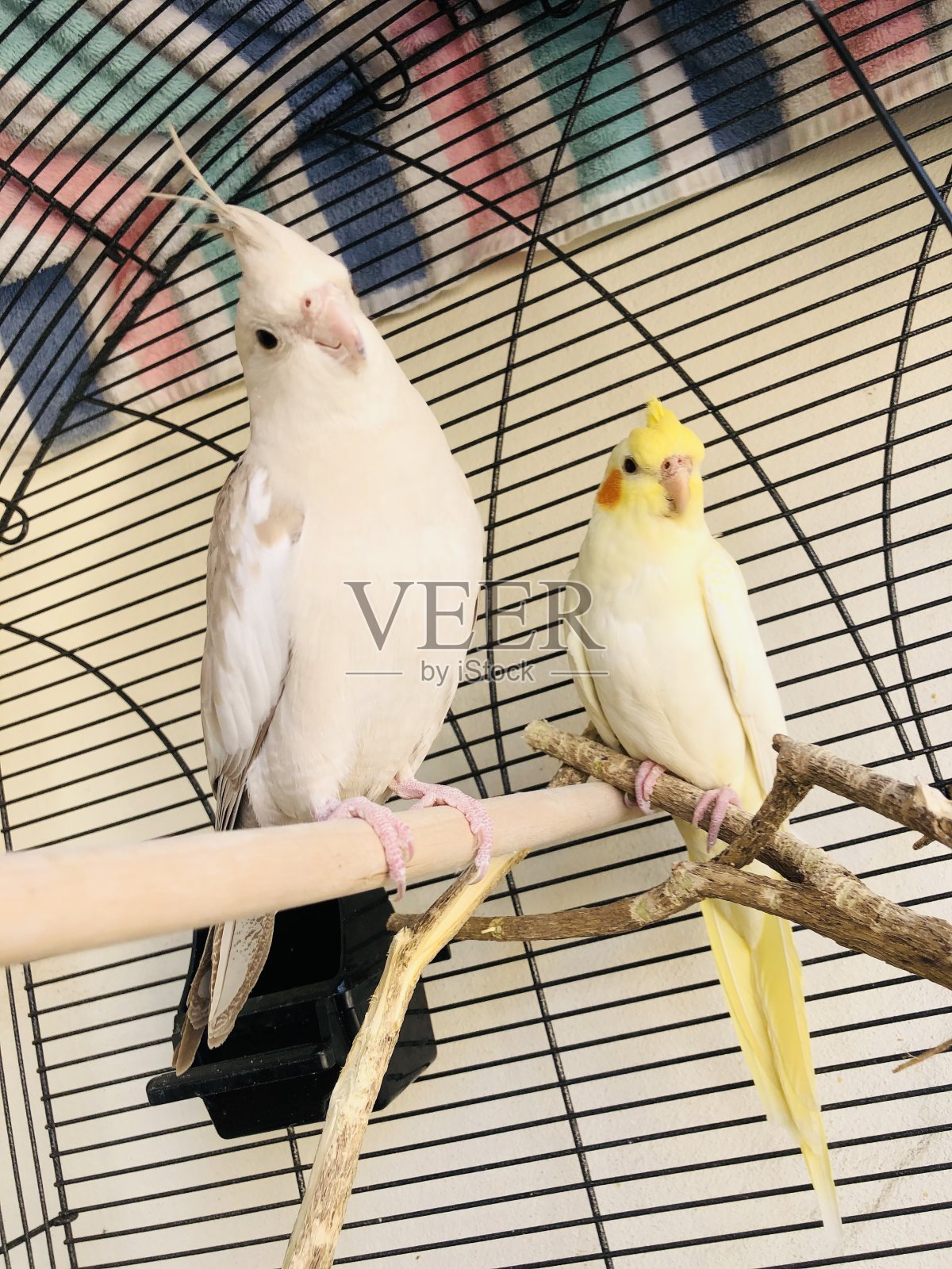 美丽的世界照片摄影图片