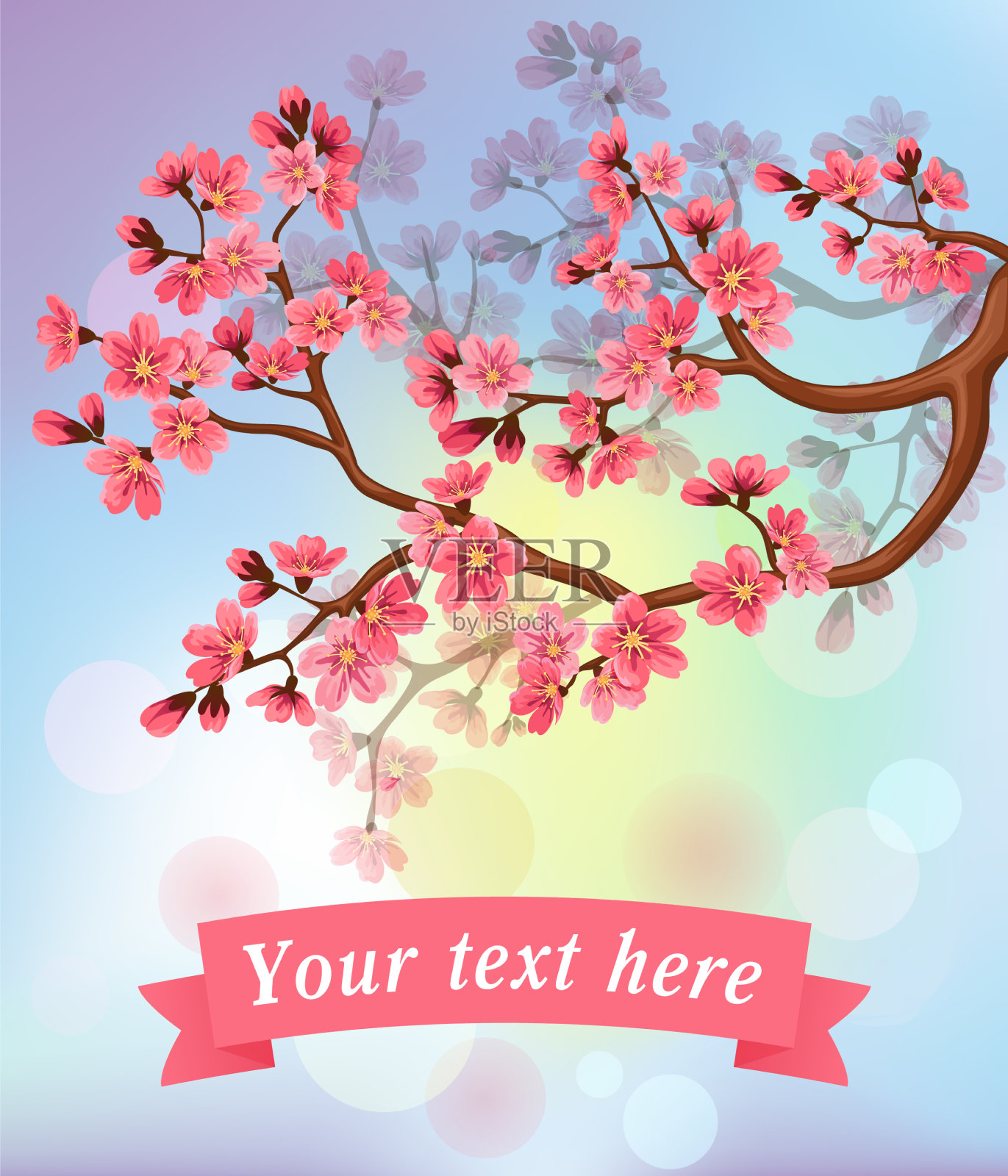 春天的背景与樱花和丝带插画图片素材