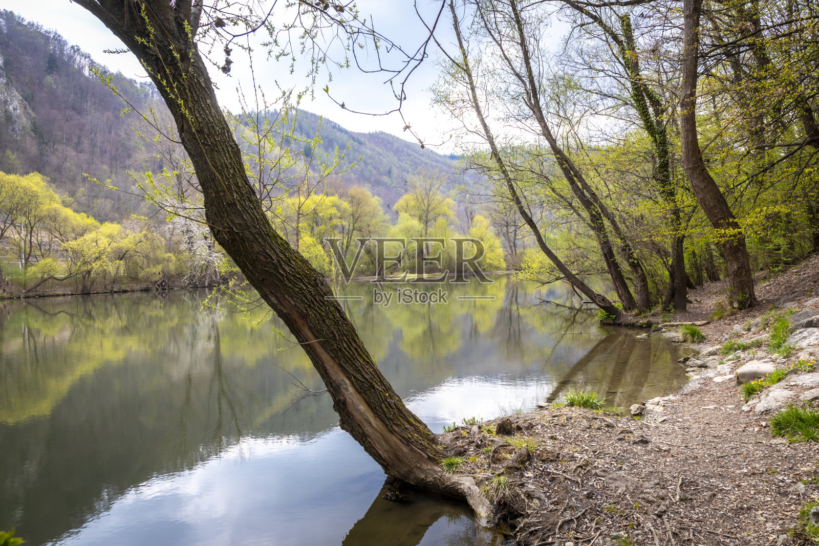 沃尔,格拉茨,温德照片摄影图片