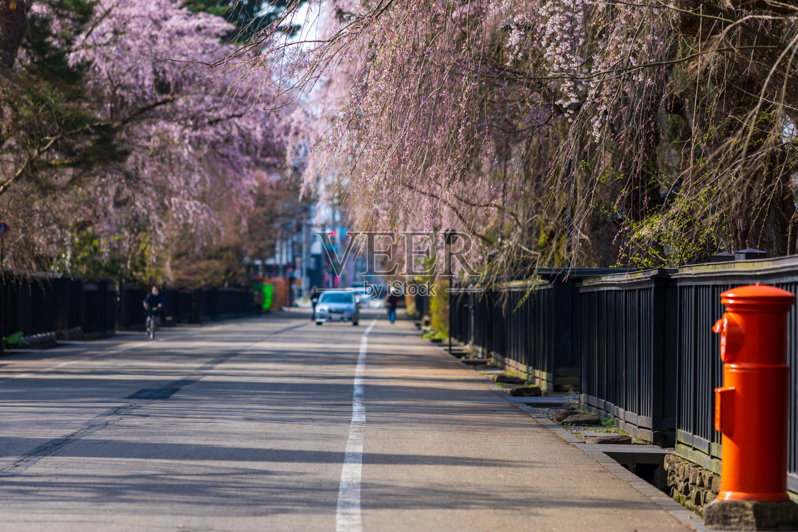 樱花在日本,樱花,角馆照片摄影图片
