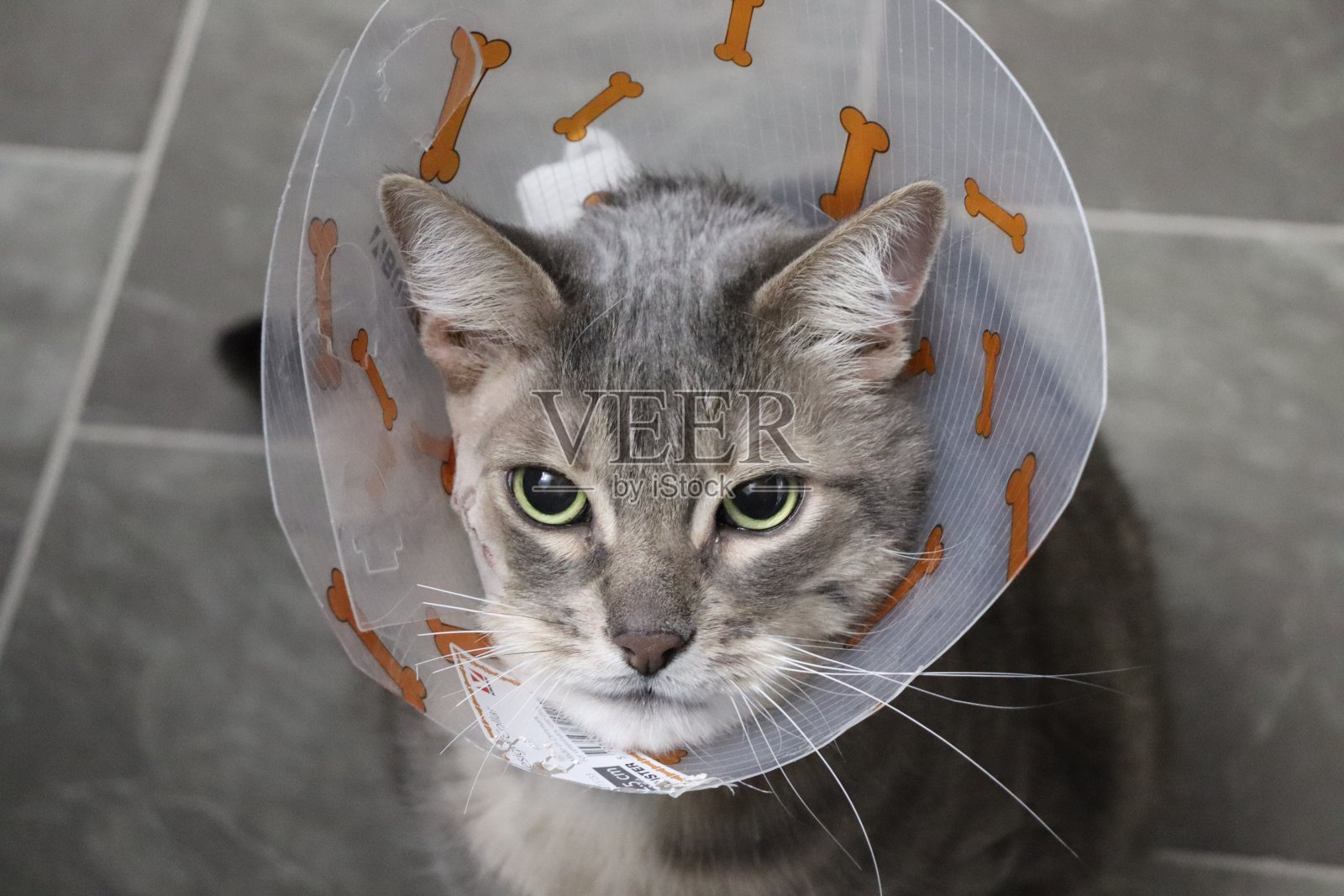 对象的病人照片摄影图片