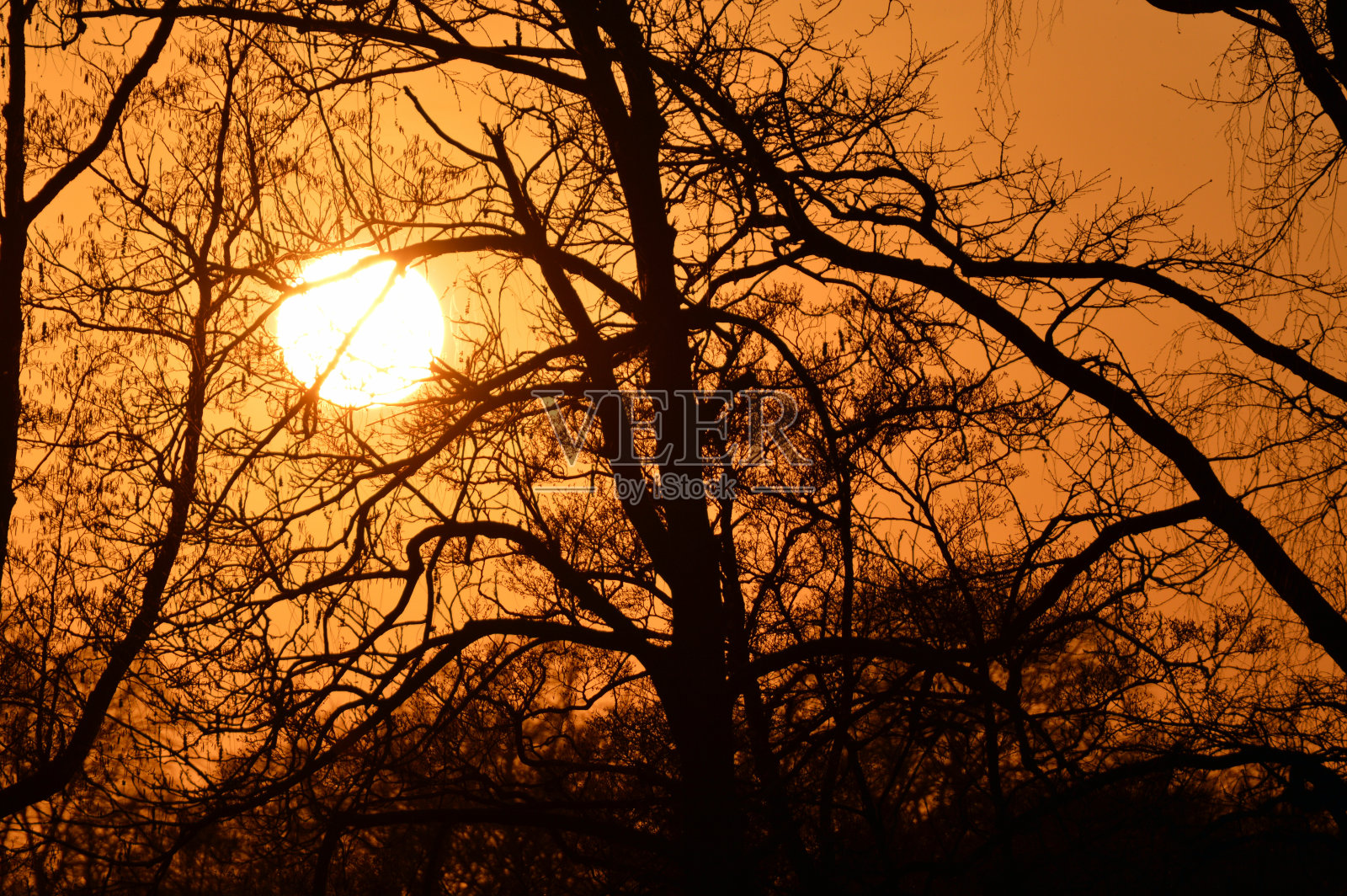 壮观的日落景色。照片摄影图片