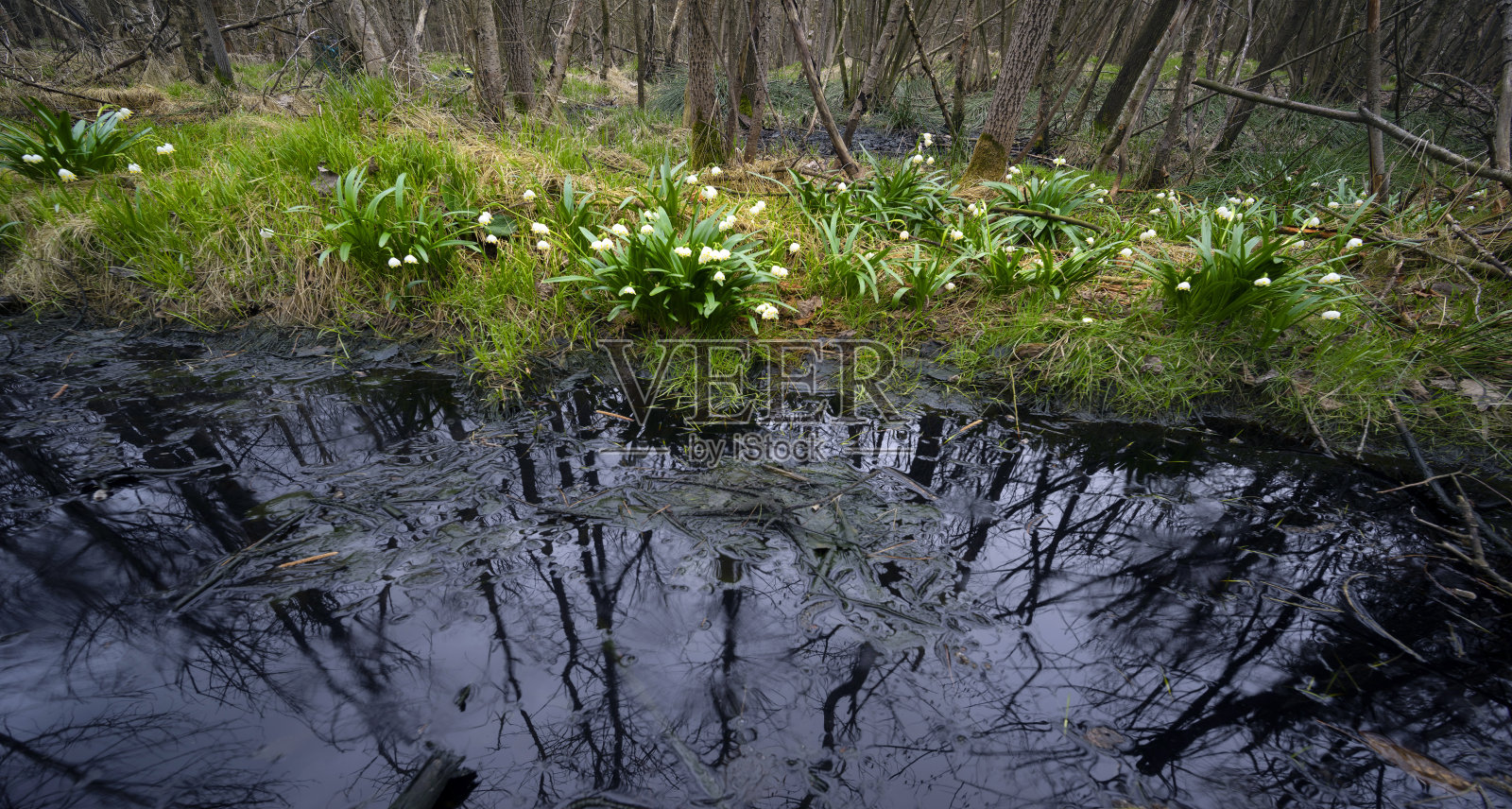 化工厂旁边的花照片摄影图片