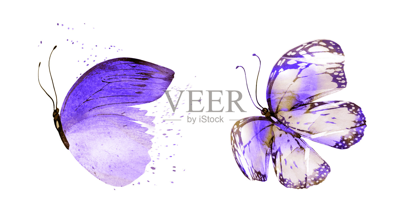 两只水彩蝴蝶,孤立在白色背景上。明亮的集合。插画图片素材