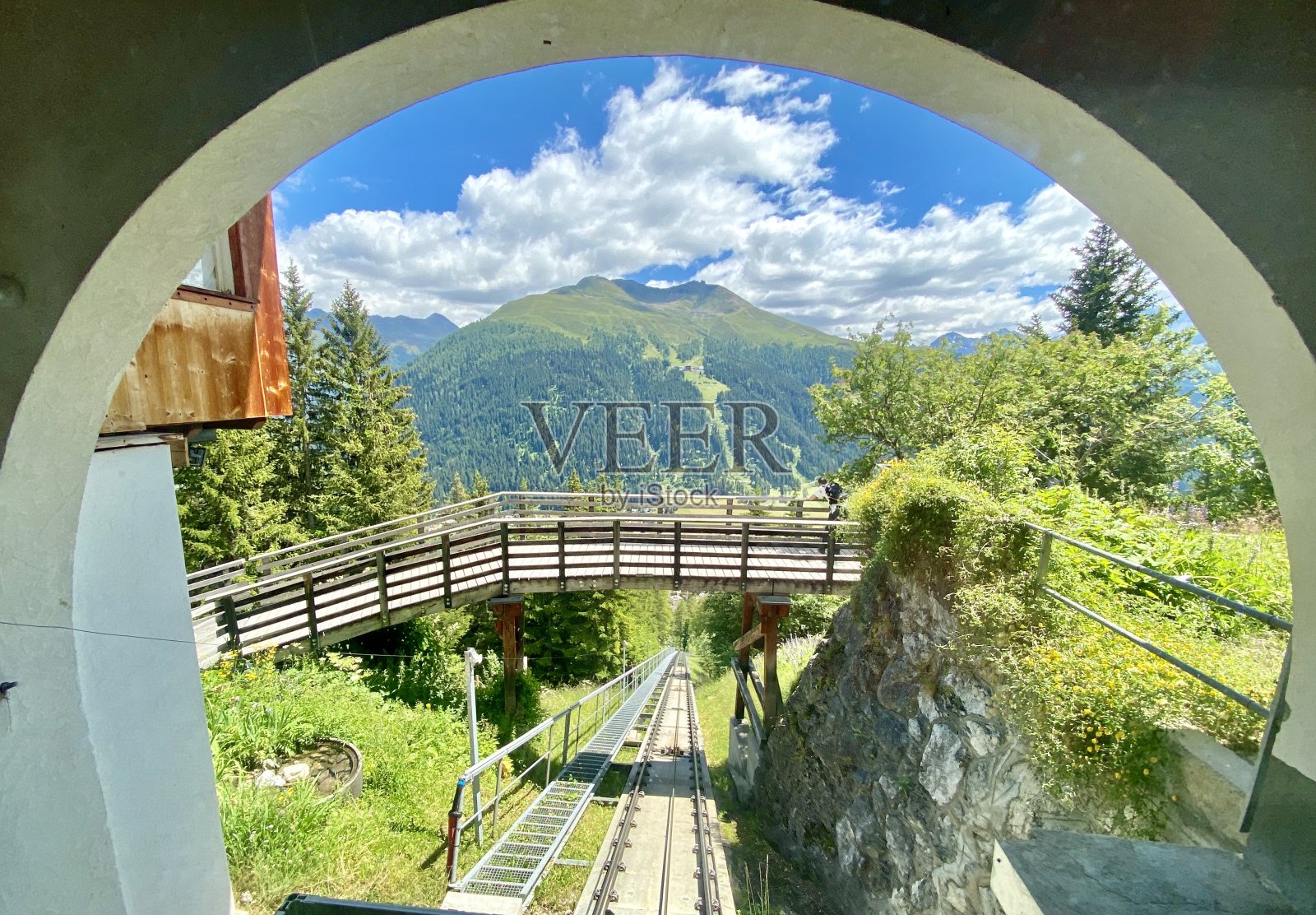 达沃斯·沙扎尔普照片摄影图片