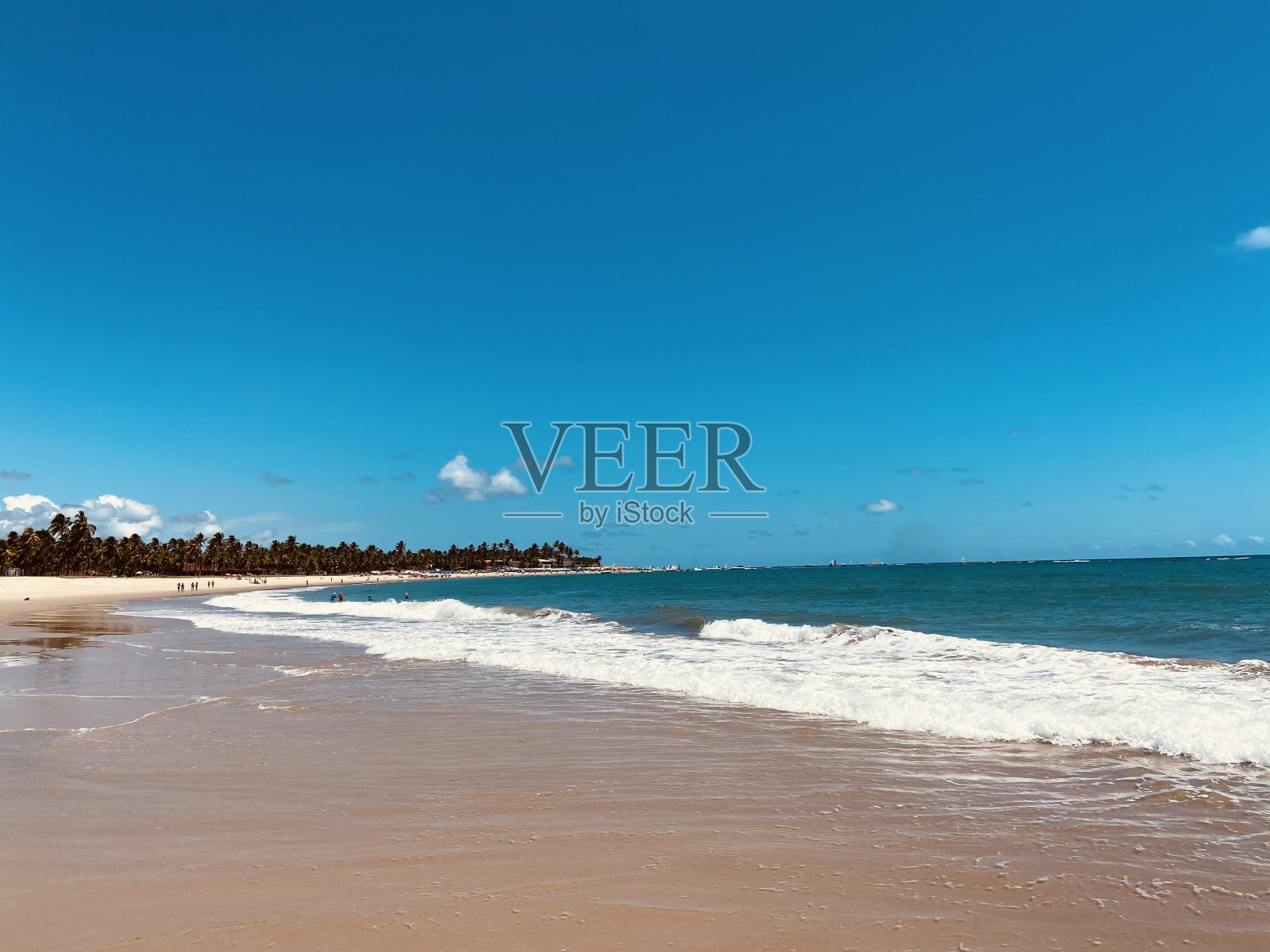 夏天照片摄影图片