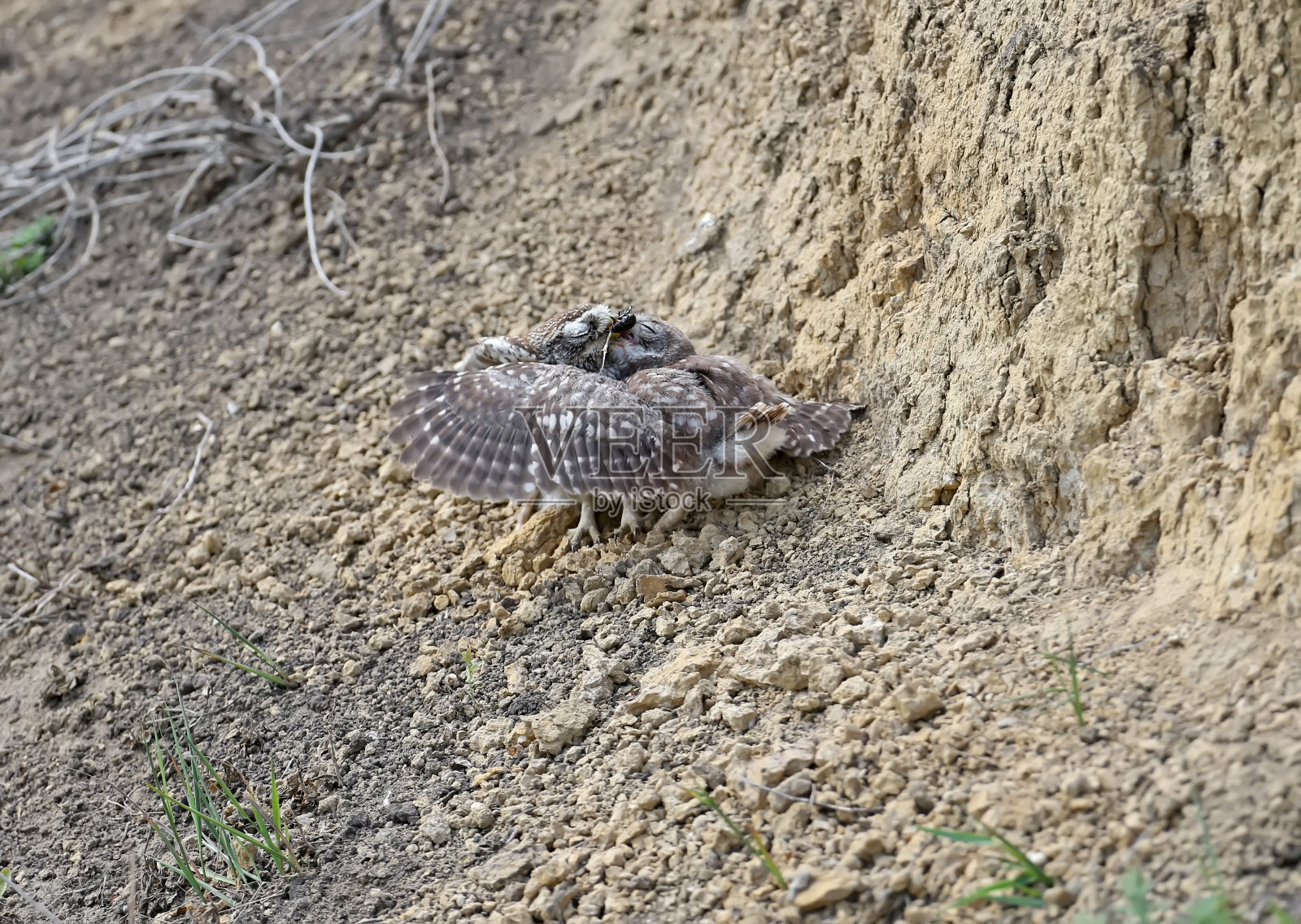 吃午饭了照片摄影图片