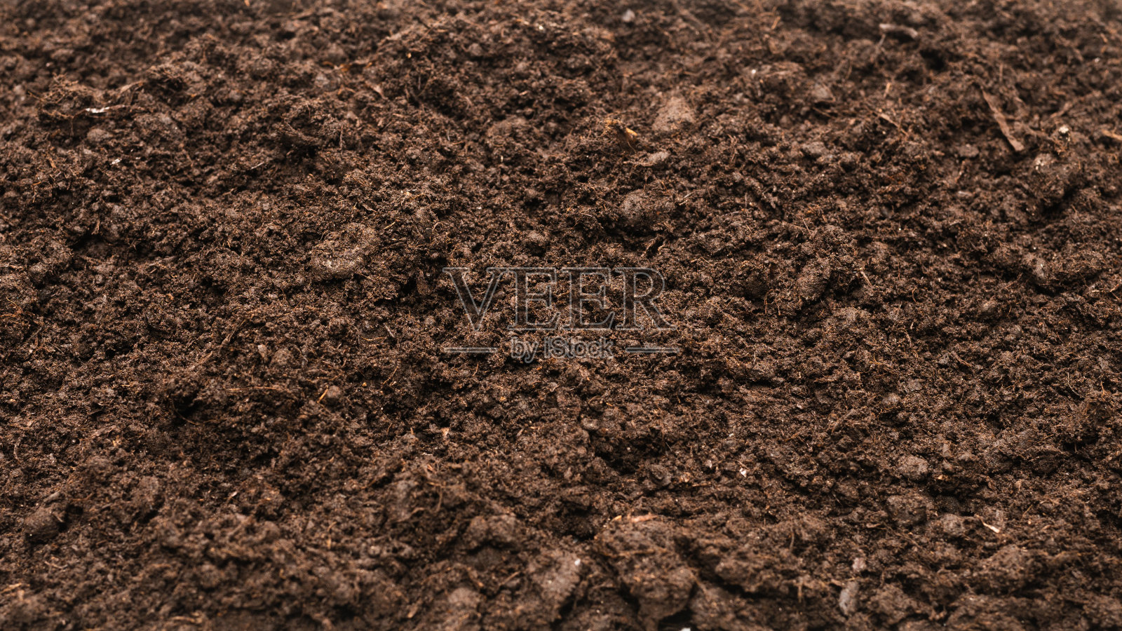 黑土地为植物背景。照片摄影图片