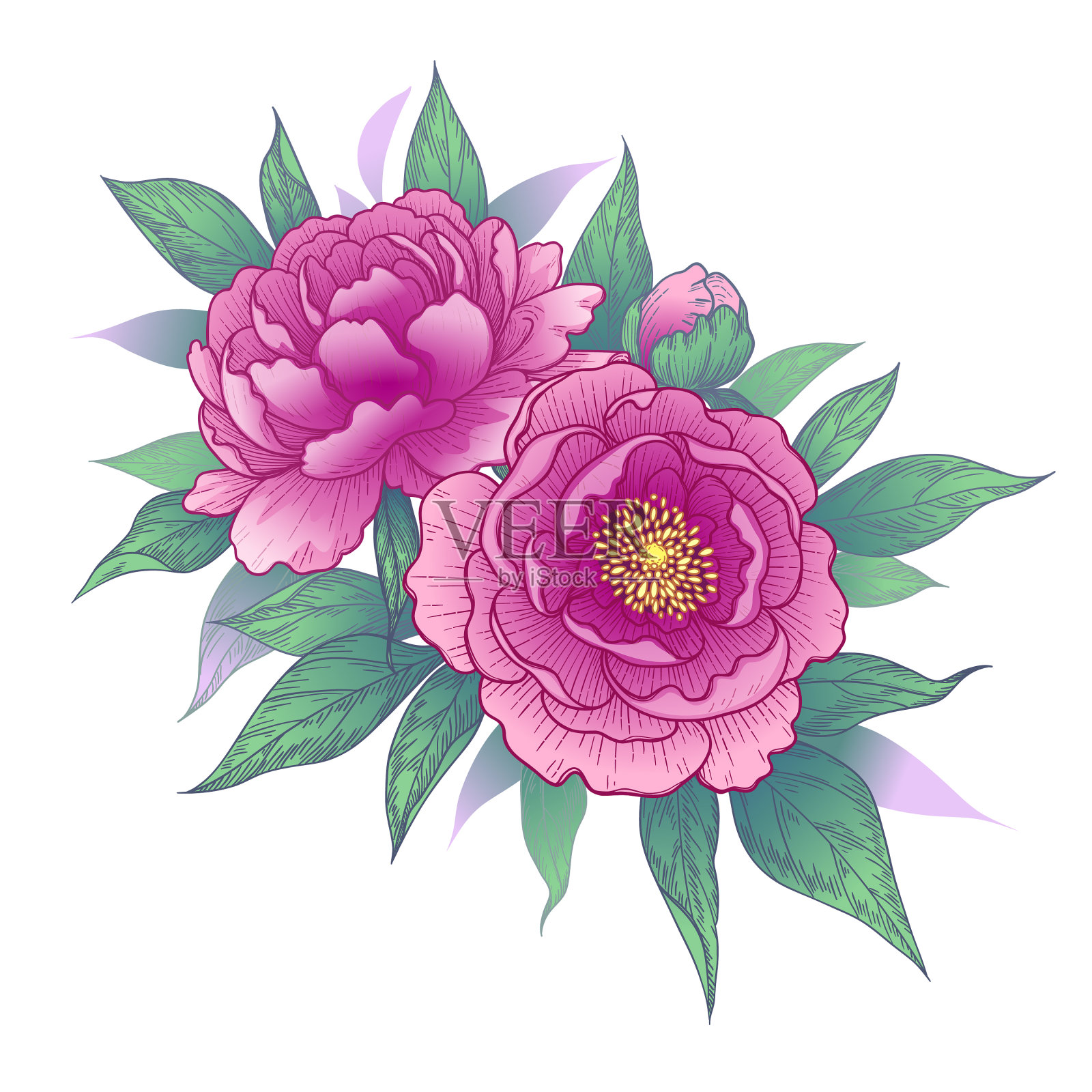 手绘花束与粉红色牡丹花设计元素图片