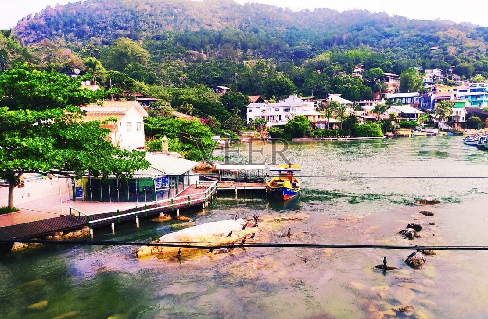 美丽的巴西河墙纸照片摄影图片