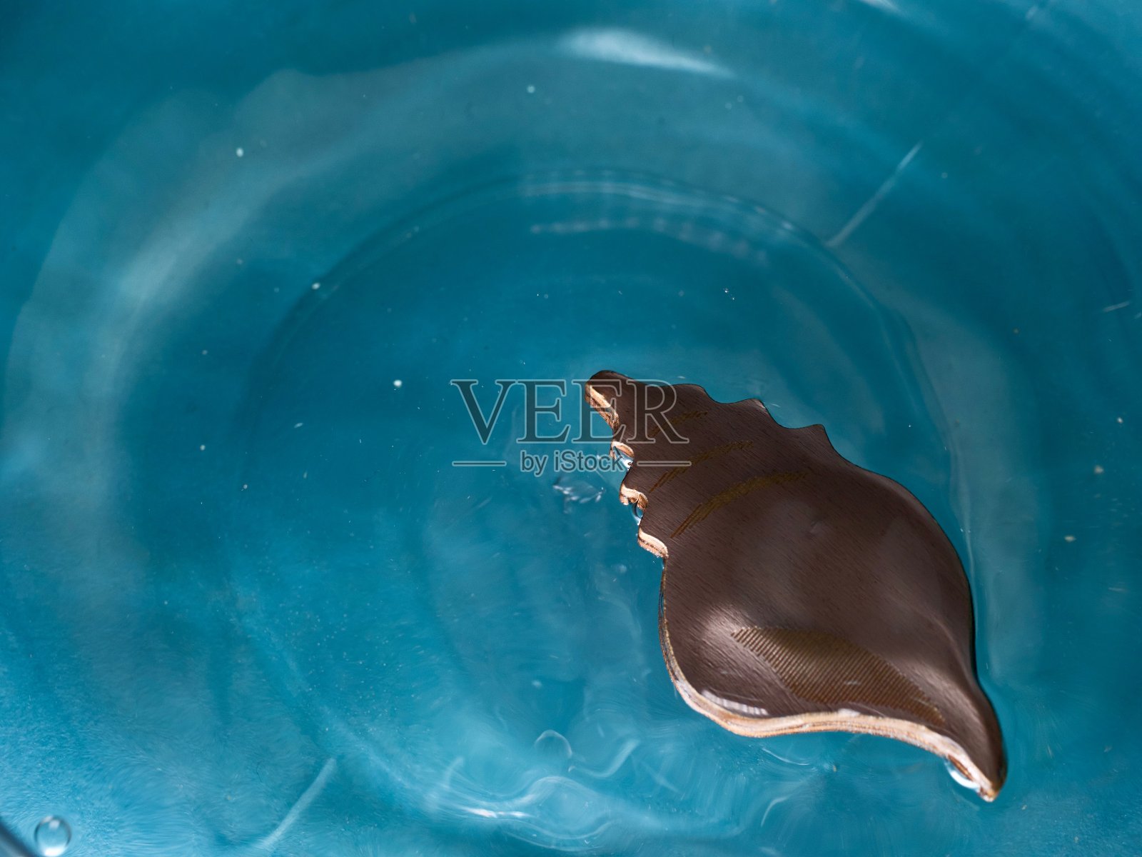 木雕海螺装饰在水中照片摄影图片