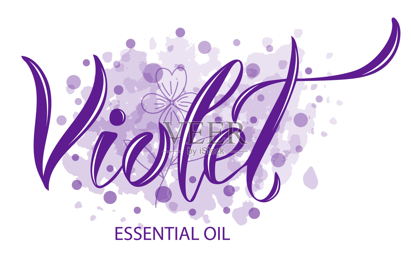 紫罗兰精油插图插画图片素材