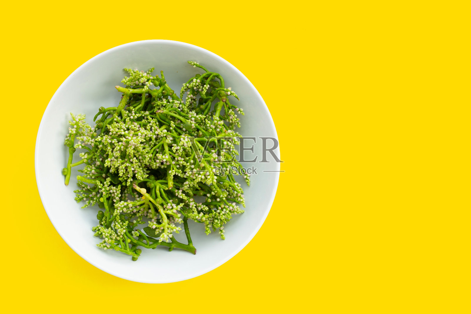 锡兰菠菜花,白色碗,黄色背景。照片摄影图片