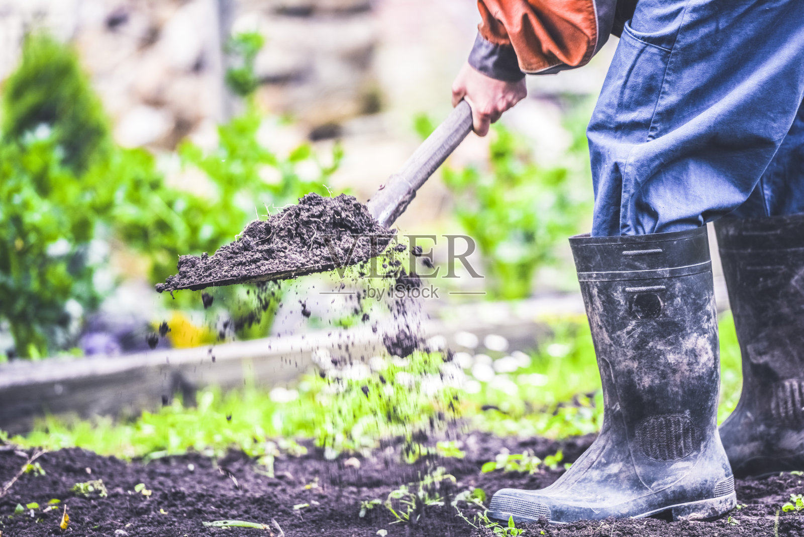 园艺。春季准备播种的土壤。园丁春天在花园里挖土照片摄影图片