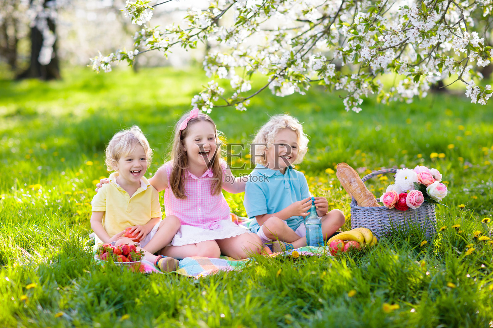 家庭野餐在春天公园。孩子们在户外吃照片摄影图片