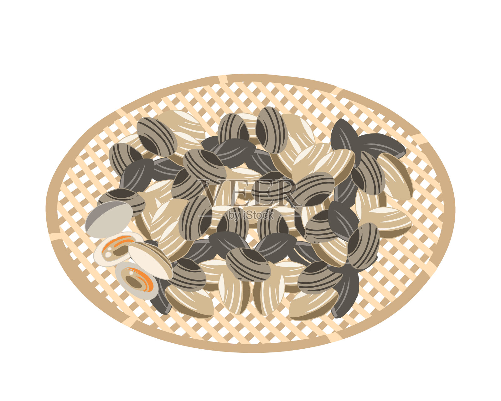 没有线条的蛤插画图片素材