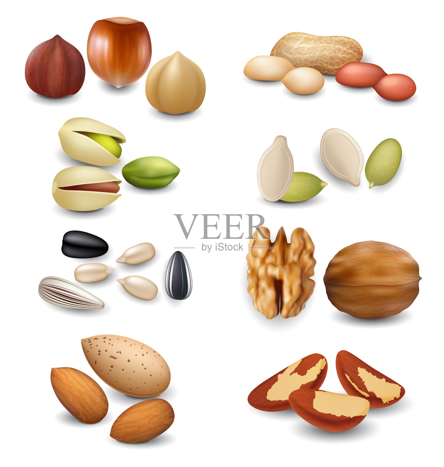 逼真的细节3d不同的螺母设置设计元素图片