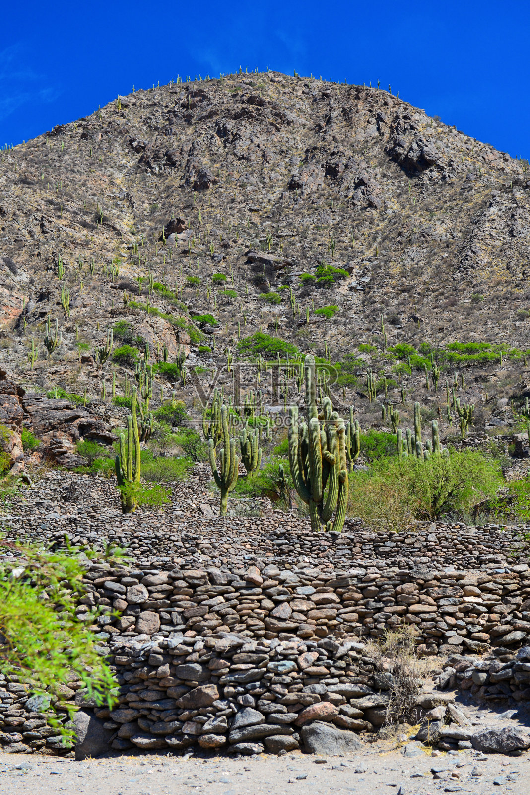 奎尔梅斯废墟的墙壁和仙人掌照片摄影图片