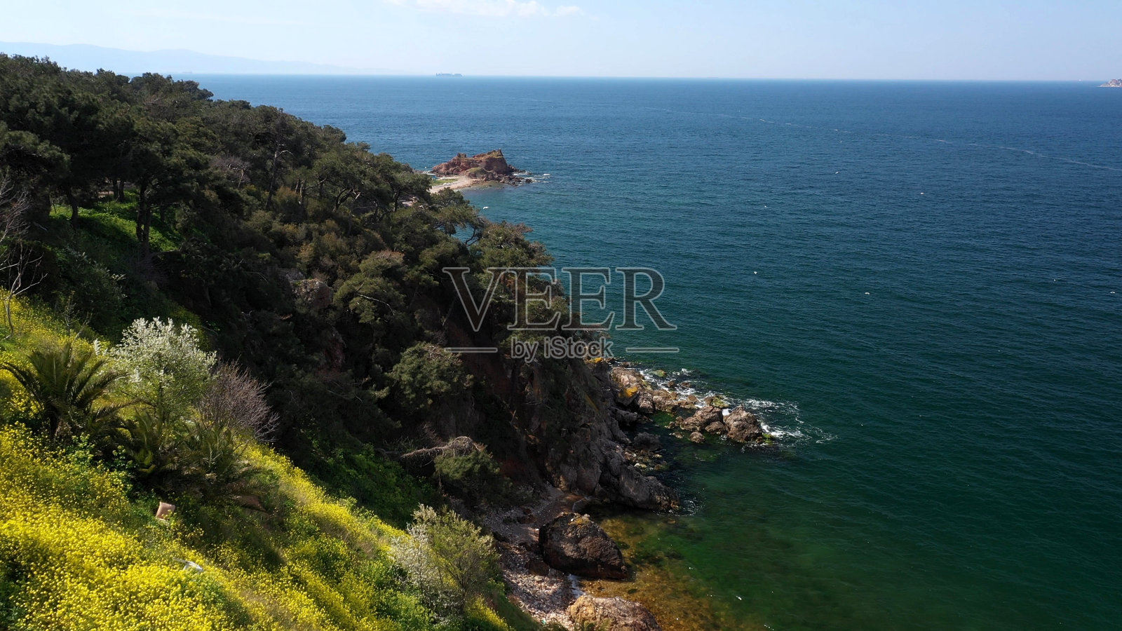 鸟瞰图海鸥和壮观的悬崖照片摄影图片