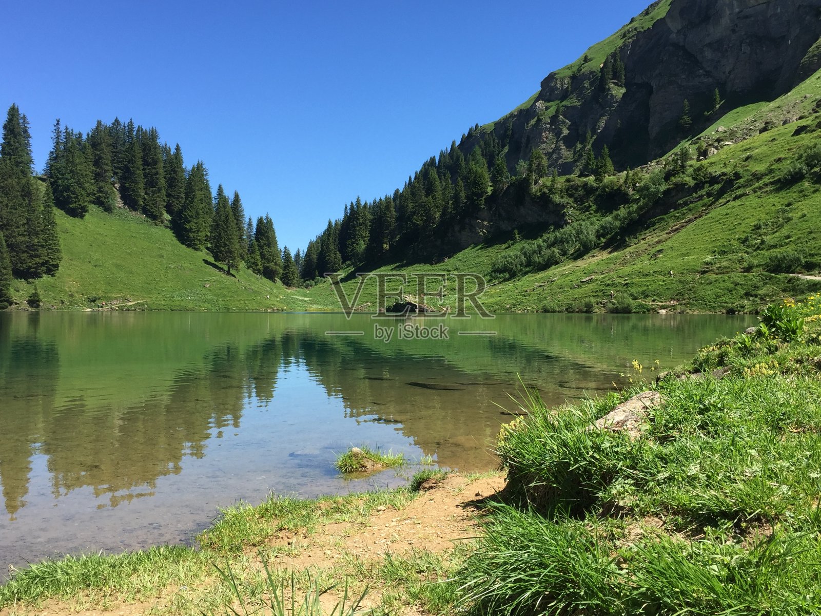 瑞士-苔藓-狮子湖照片摄影图片