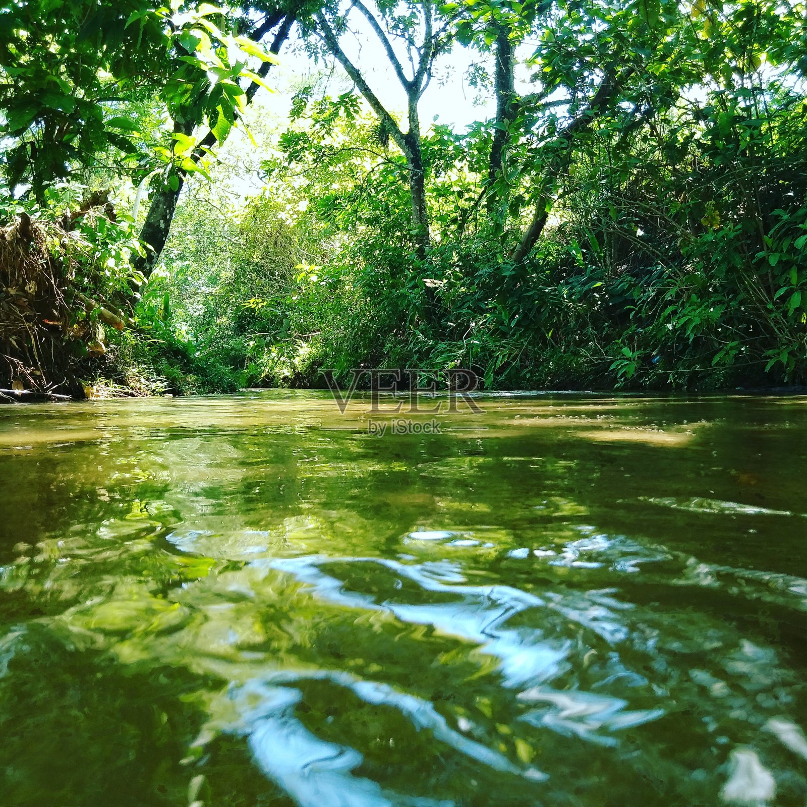 河流自然,绿色自然照片摄影图片