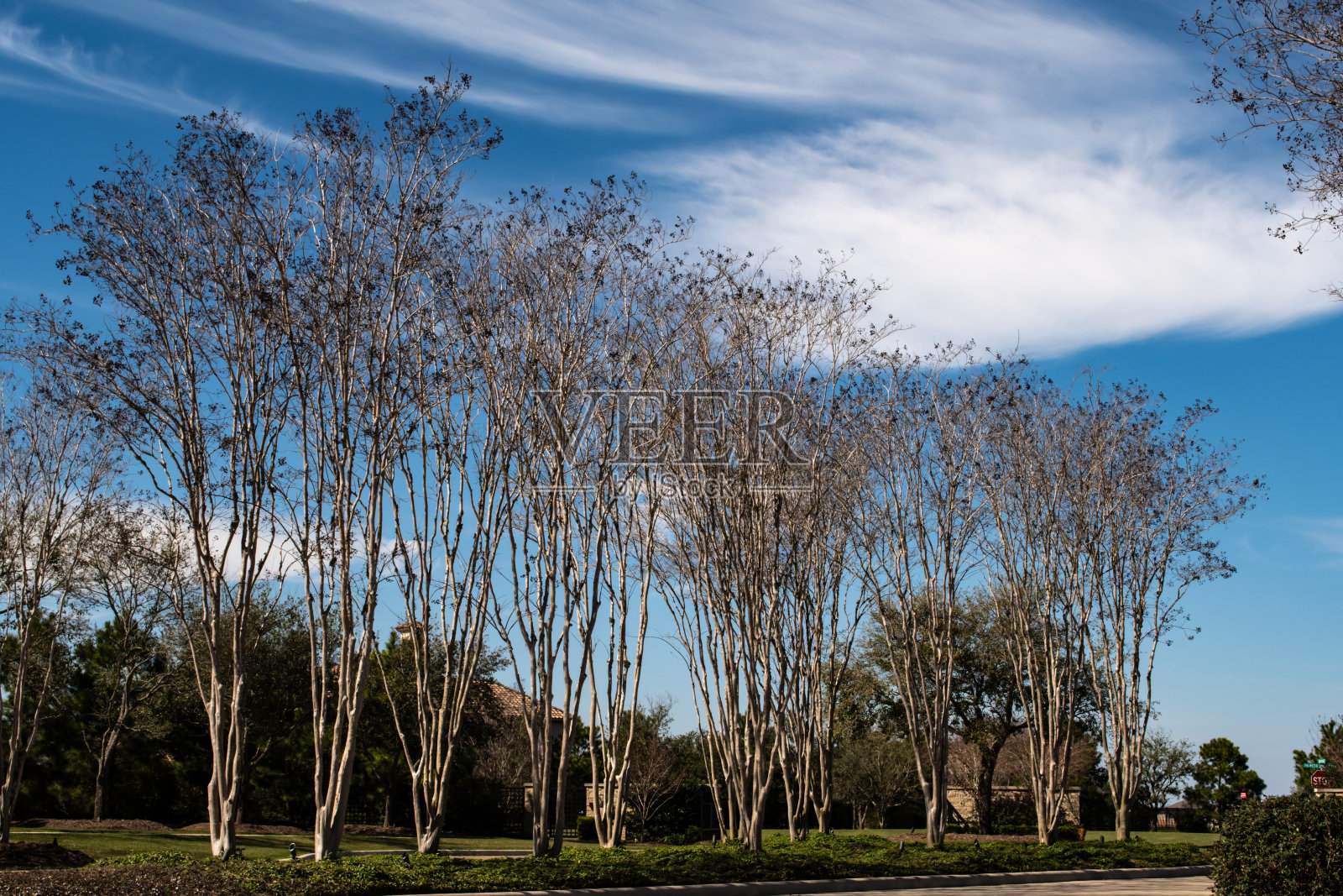 德克萨斯州凯蒂住宅规划开发项目照片摄影图片