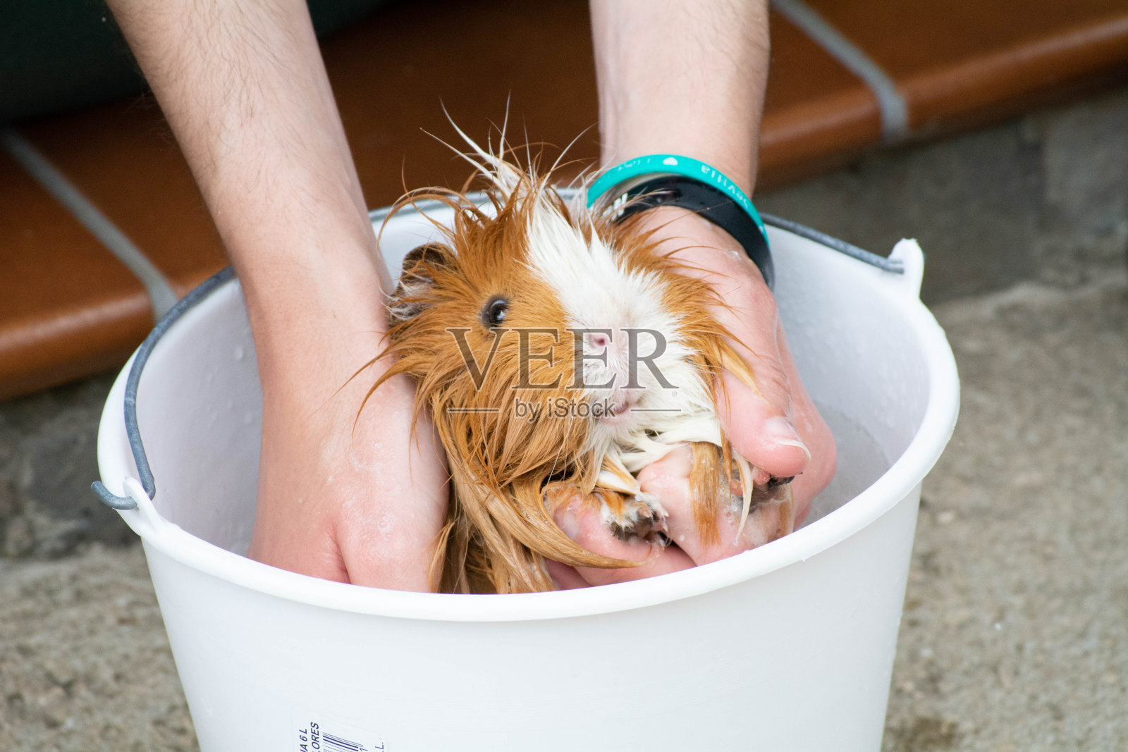 Coballa浴照片摄影图片