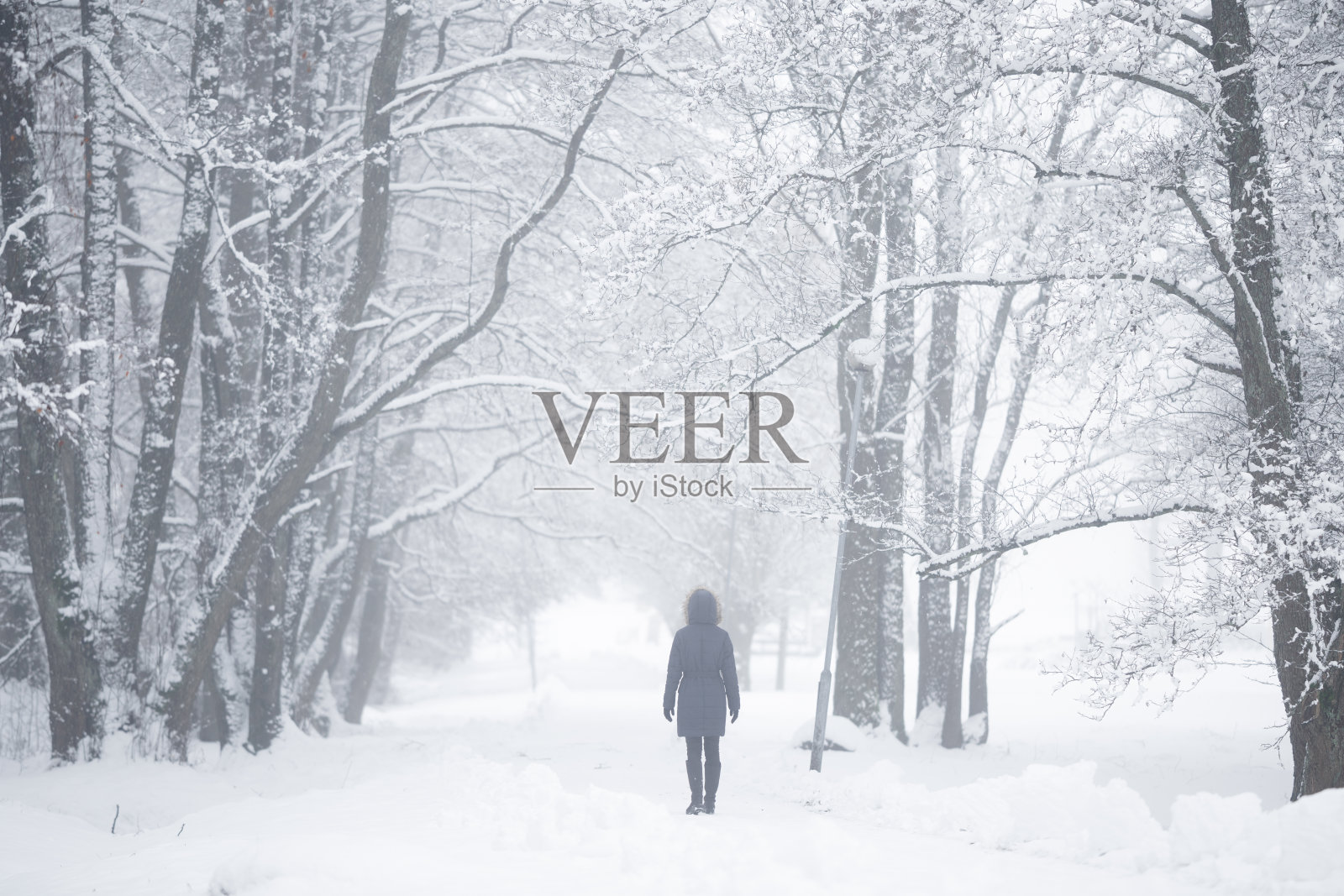 年轻的女人慢慢地走在雪覆盖的人行道上,穿过树木在白雪皑皑的冬日在公园后暴风雪。多雾的空气。花时间独处在大自然中。和平的气氛。后视图。照片摄影图片