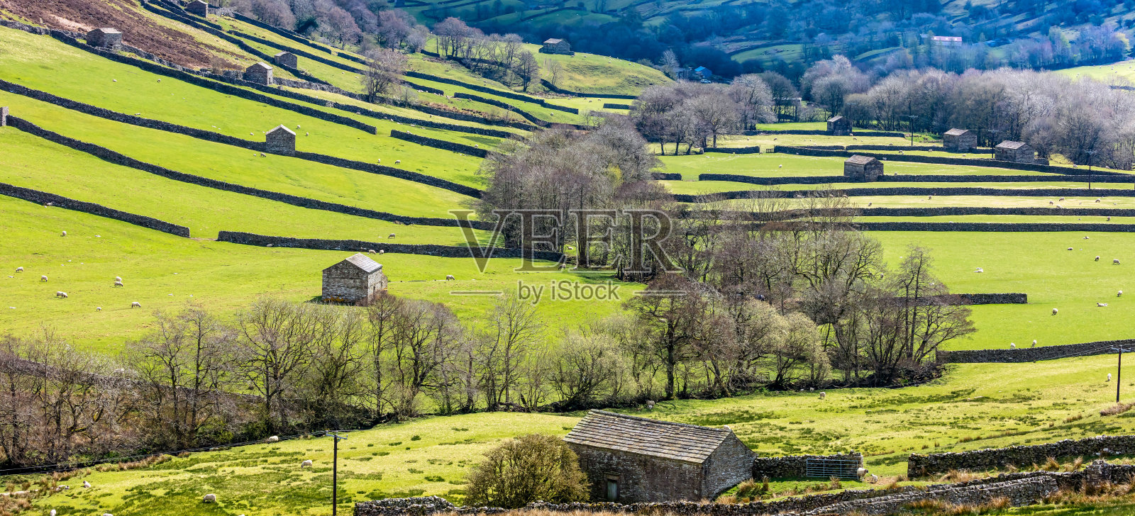 在北约克郡的斯瓦尔代尔。在春天的西石谷和克尔德周围的约克郡山谷村庄的全景,有石头牛屋和干石砌墙。副本的空间。水平的。照片摄影图片