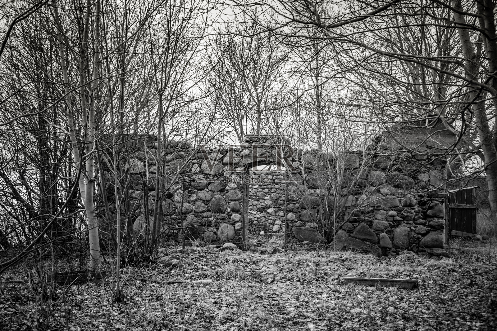 拉脱维亚海岸一座石屋的废墟照片摄影图片