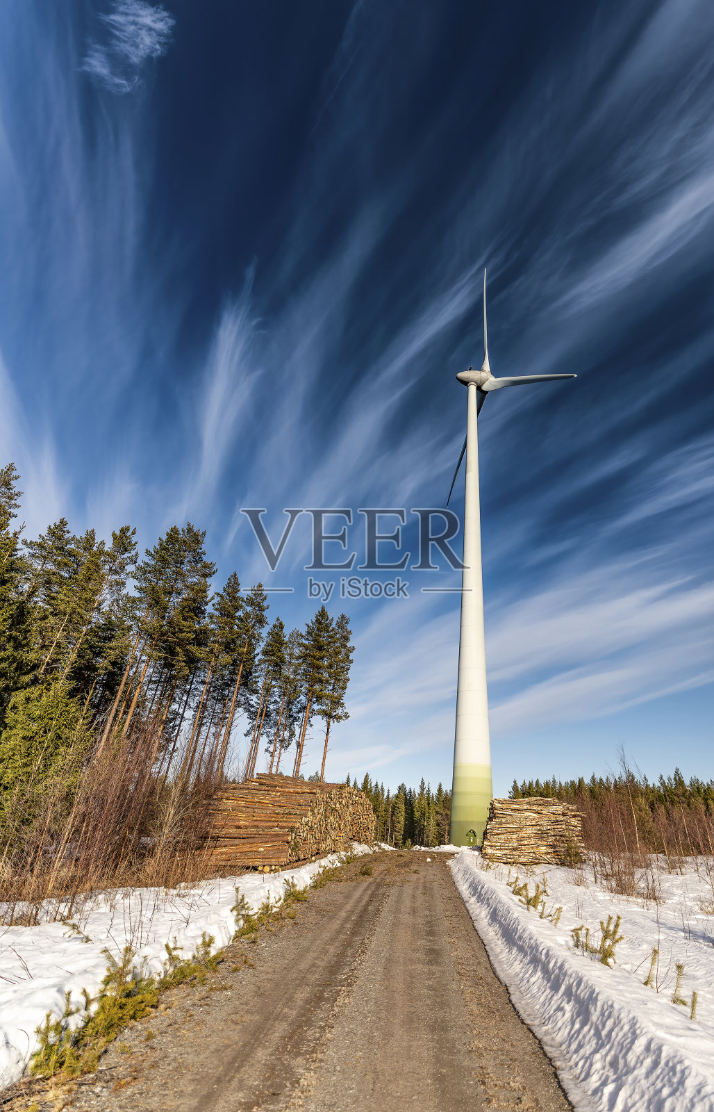 垂直照片的风车站在松树林,两棵松树原木与新鲜砍伐木材在路边,冬天阳光明媚的一天,晴朗的蓝天。瑞典生态产业照片摄影图片