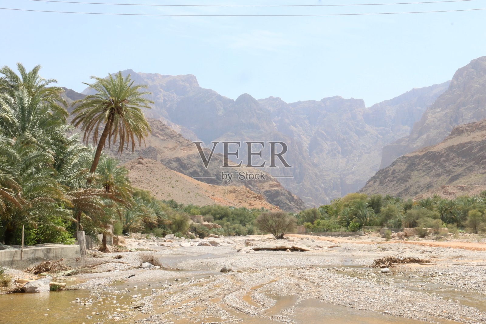 阿曼棕榈农场照片摄影图片